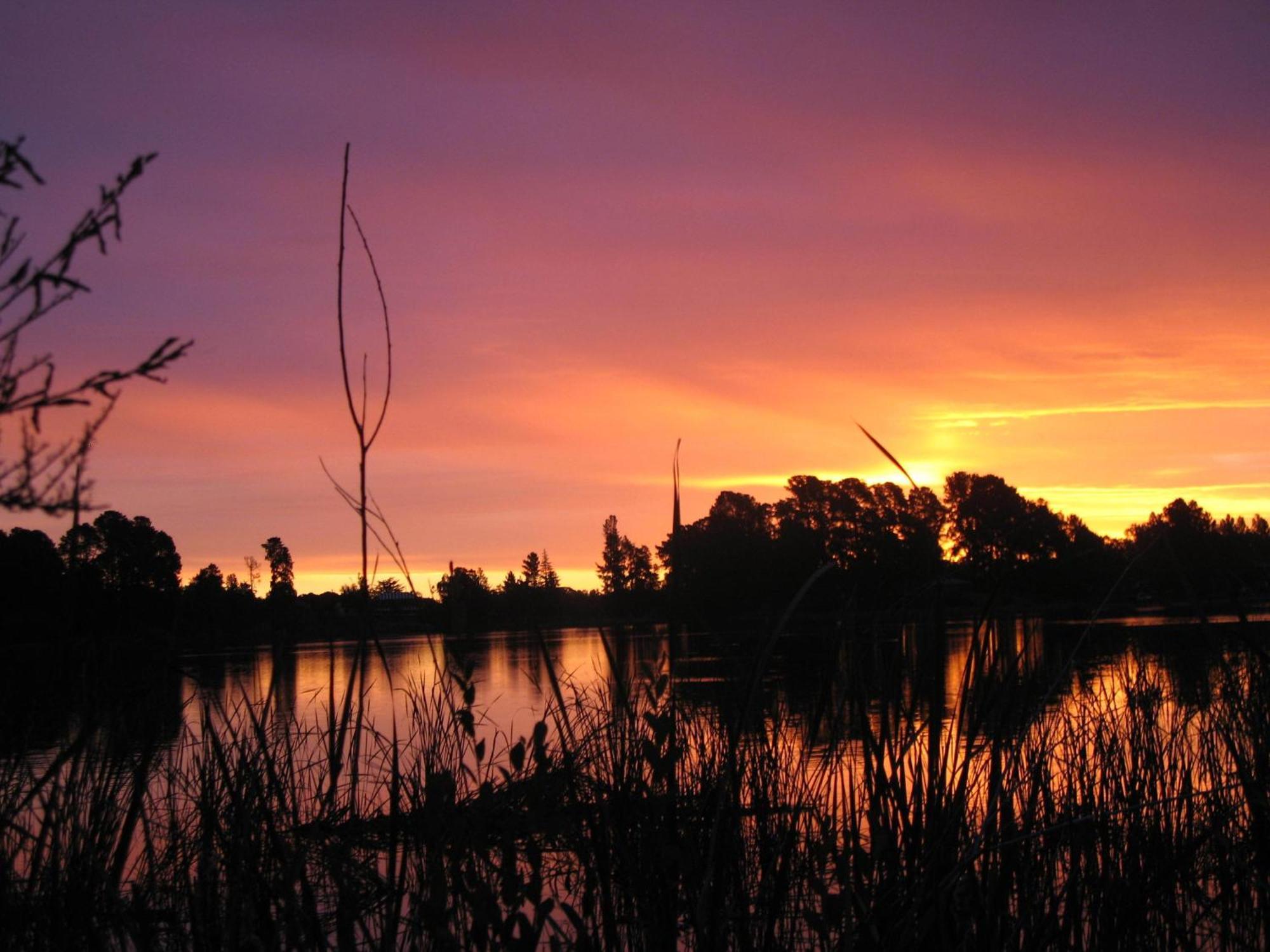 Beechworth Lake Sambell Caravan Park Buitenkant foto