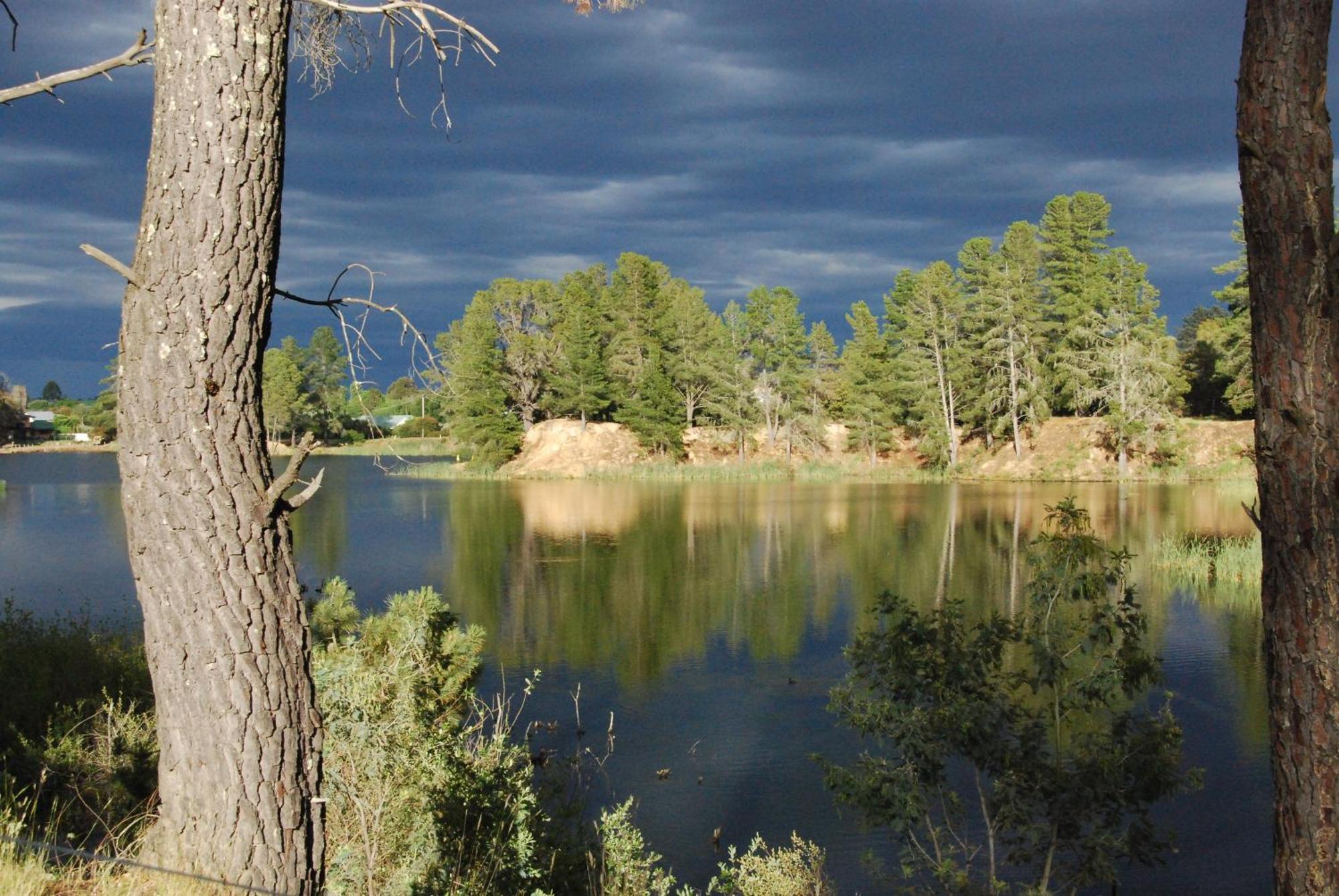 Beechworth Lake Sambell Caravan Park Buitenkant foto